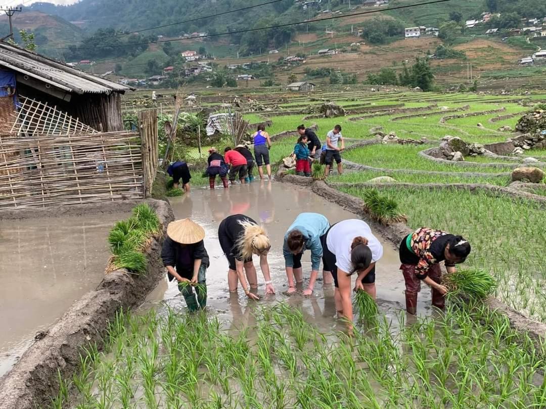 Tavan Dragon House Lao Cai Exteriér fotografie