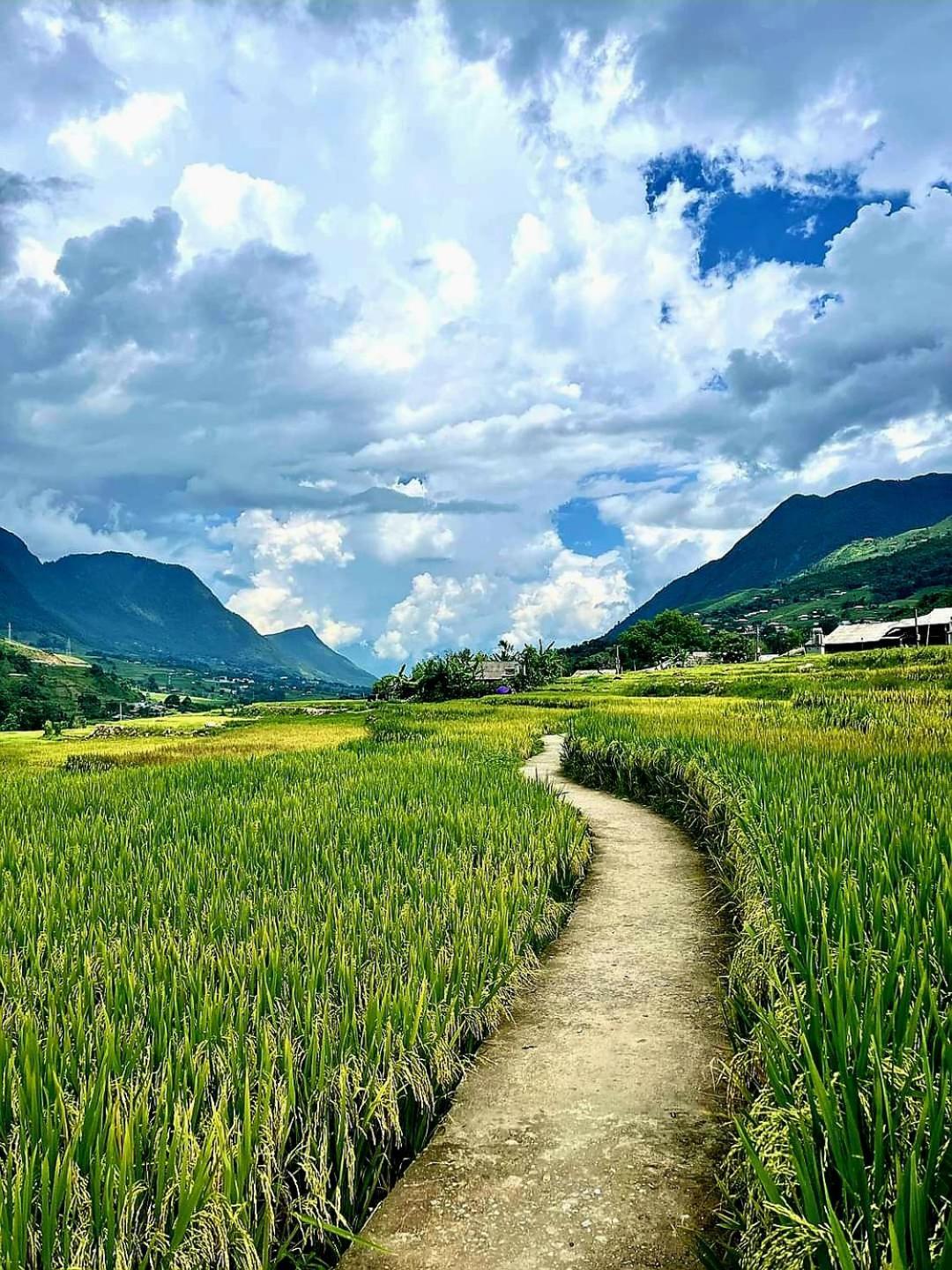 Tavan Dragon House Lao Cai Exteriér fotografie