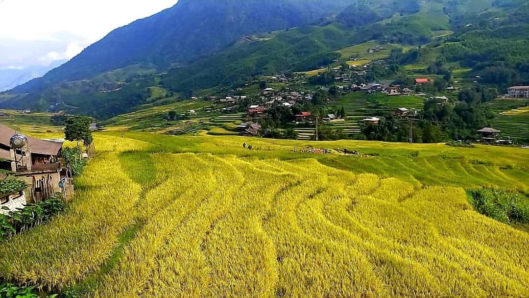 Tavan Dragon House Lao Cai Exteriér fotografie